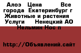 Алоэ › Цена ­ 150 - Все города, Екатеринбург г. Животные и растения » Услуги   . Ненецкий АО,Нельмин Нос п.